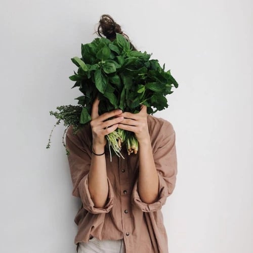 Nutrición